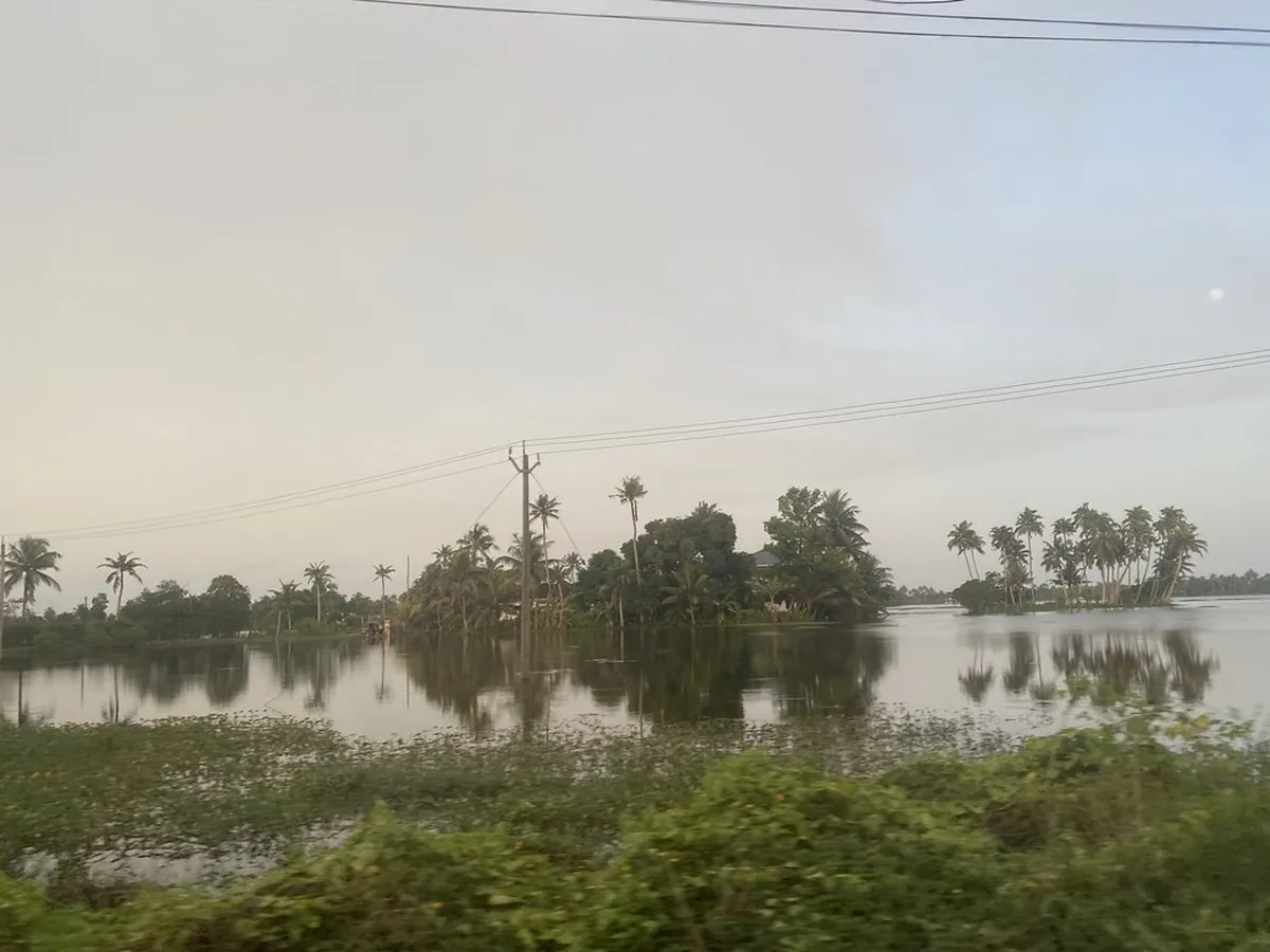 Alleppey Backwaters