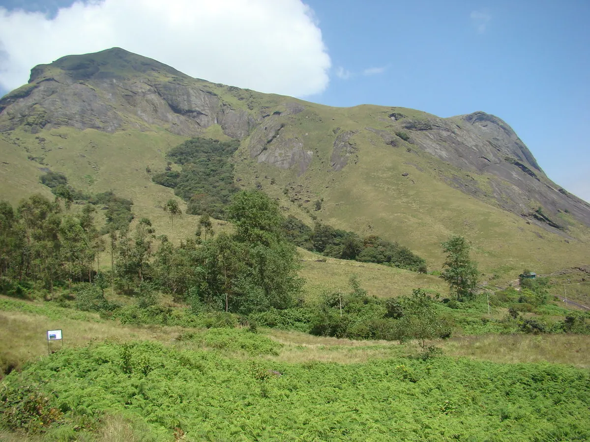 Anamudi Peak