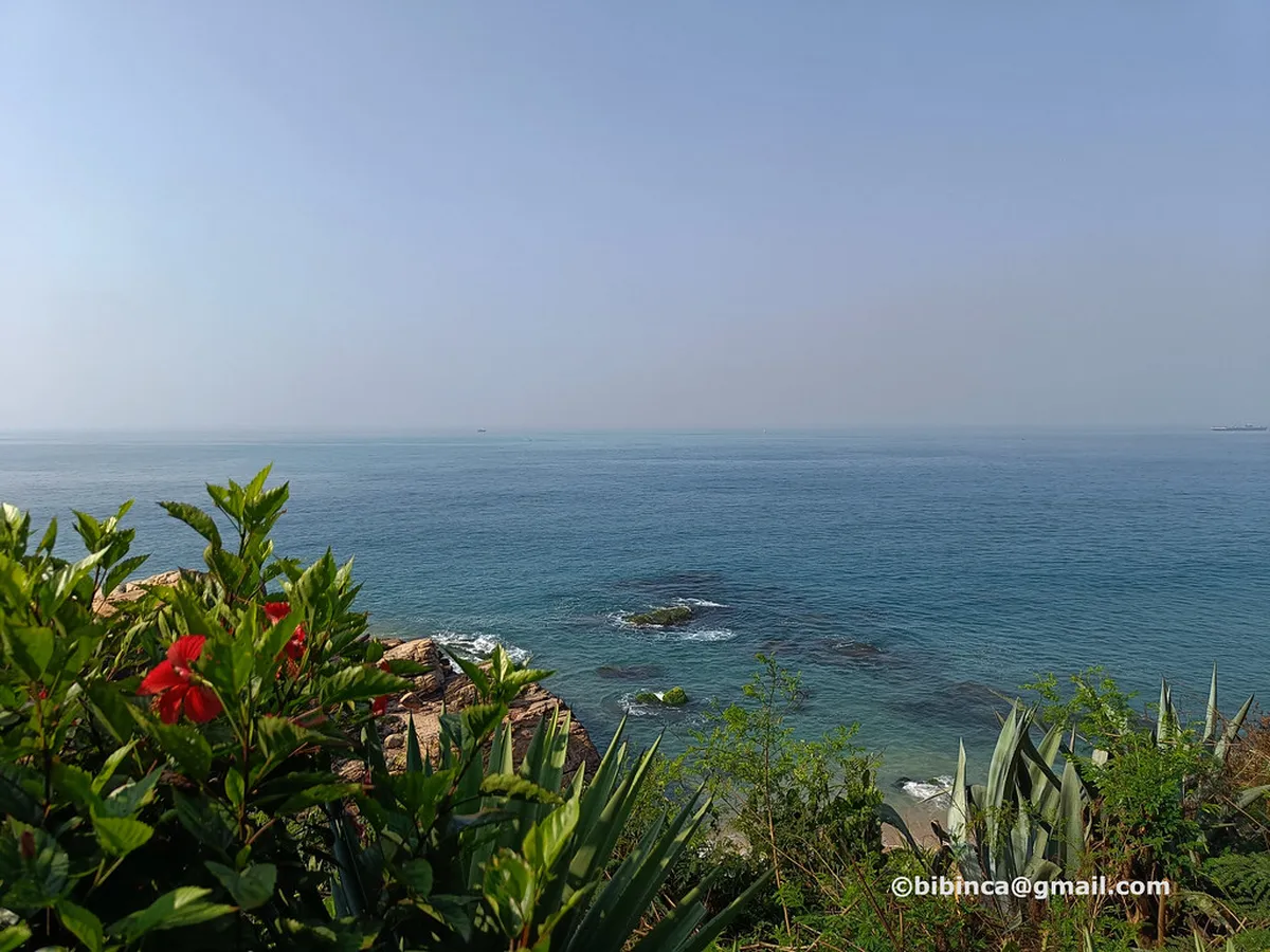 Arabian Sea