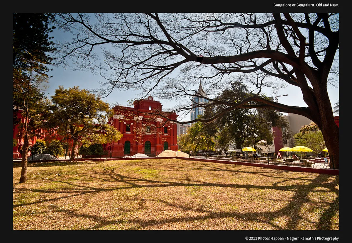 Bangalore Government Museum