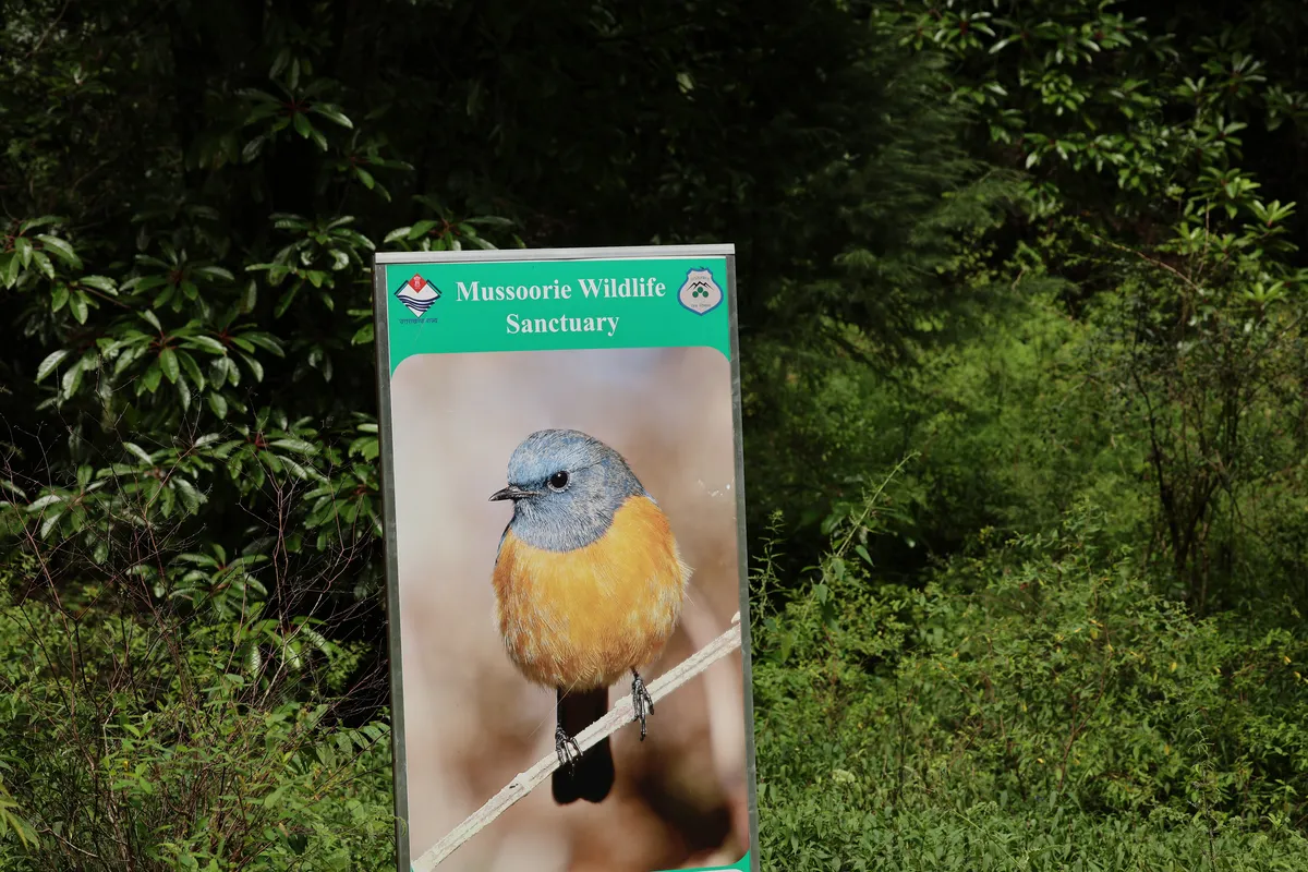 Benog Wildlife Sanctuary