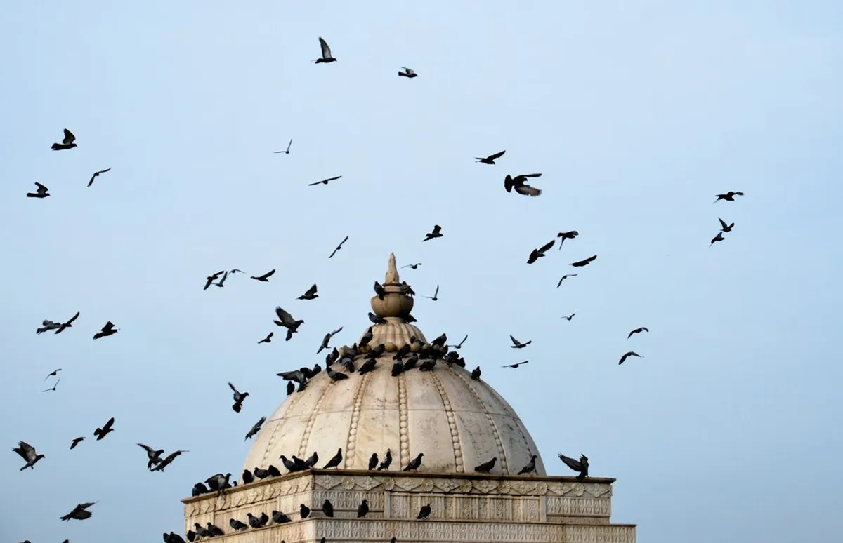 Birla Mandir