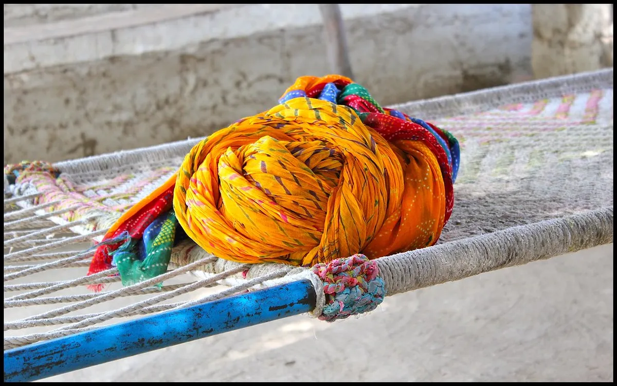Bishnoi Village