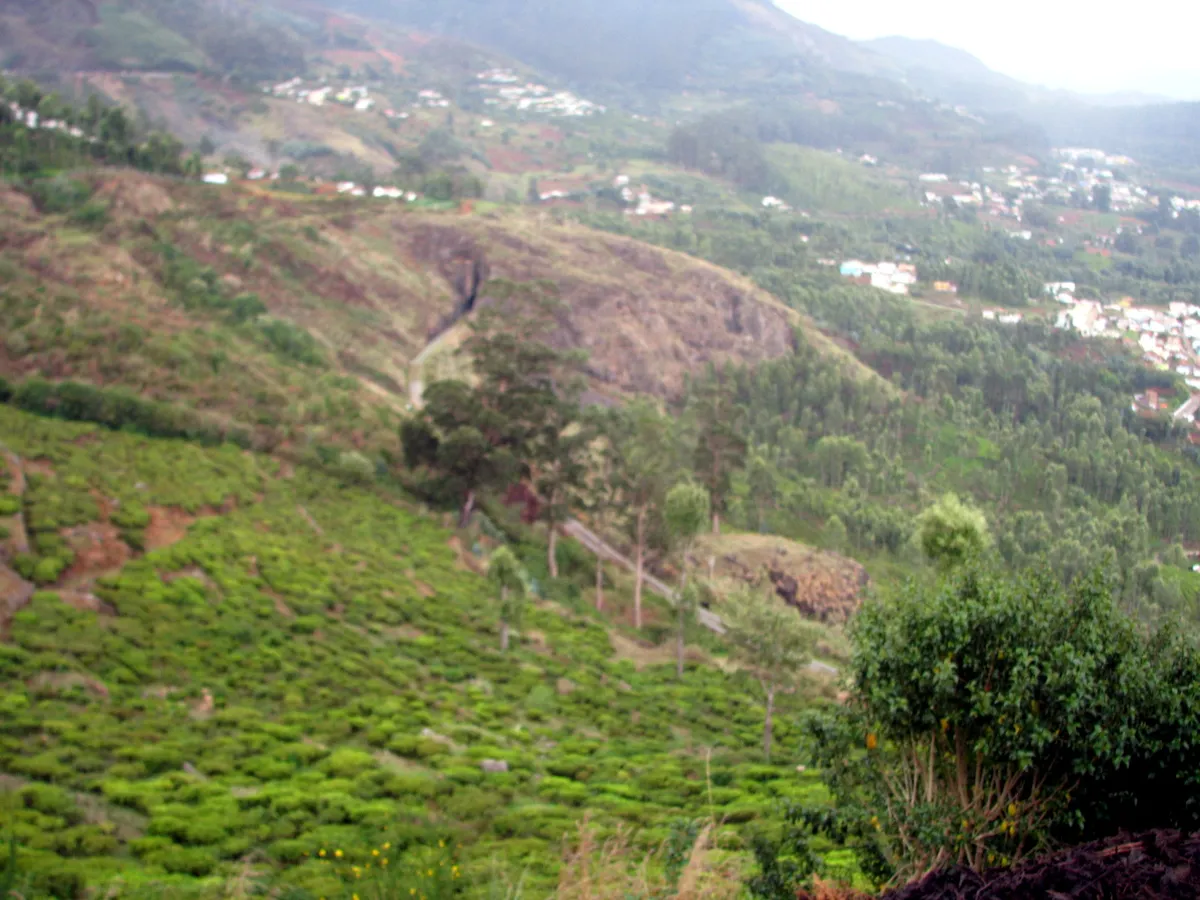 Conoor