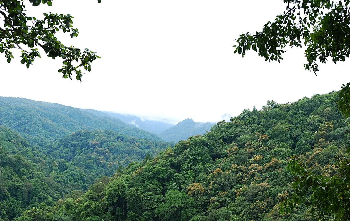 Dandeli
