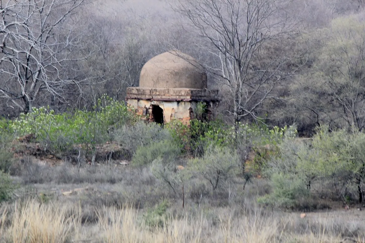 Elephant Sanctuary