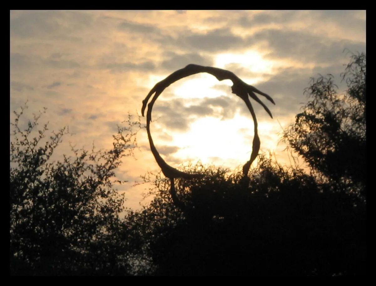 Garden of Five Senses