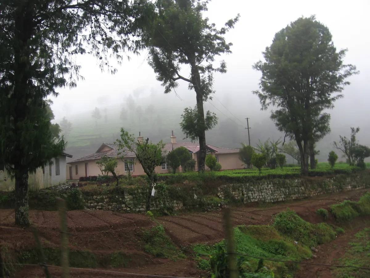 Glenmorgan Tea Estate