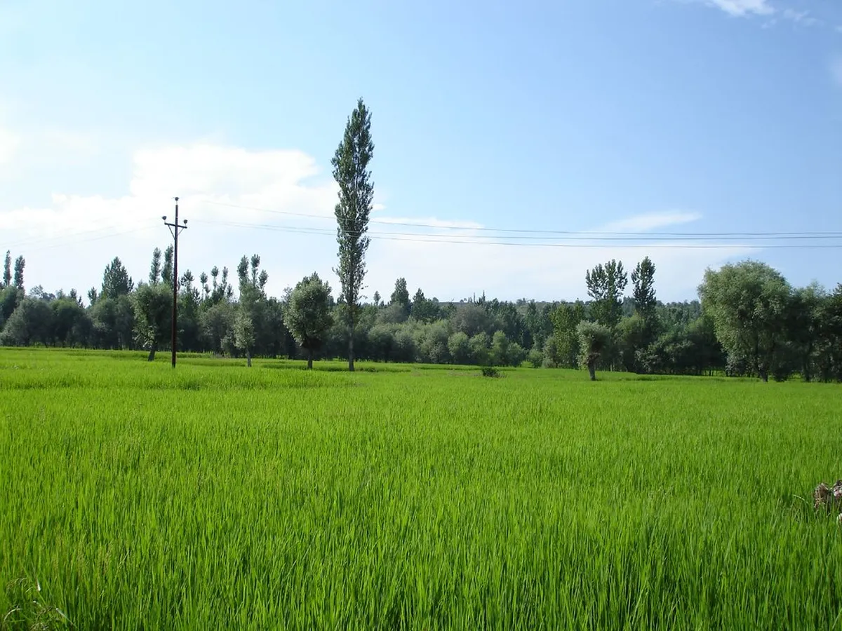 Gulmarg