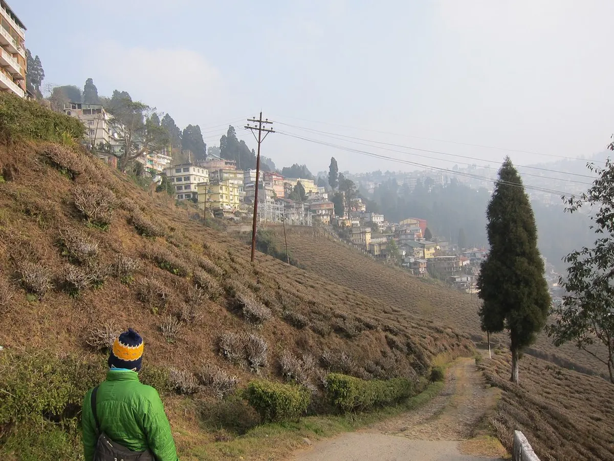 Happy Valley Tea Estate