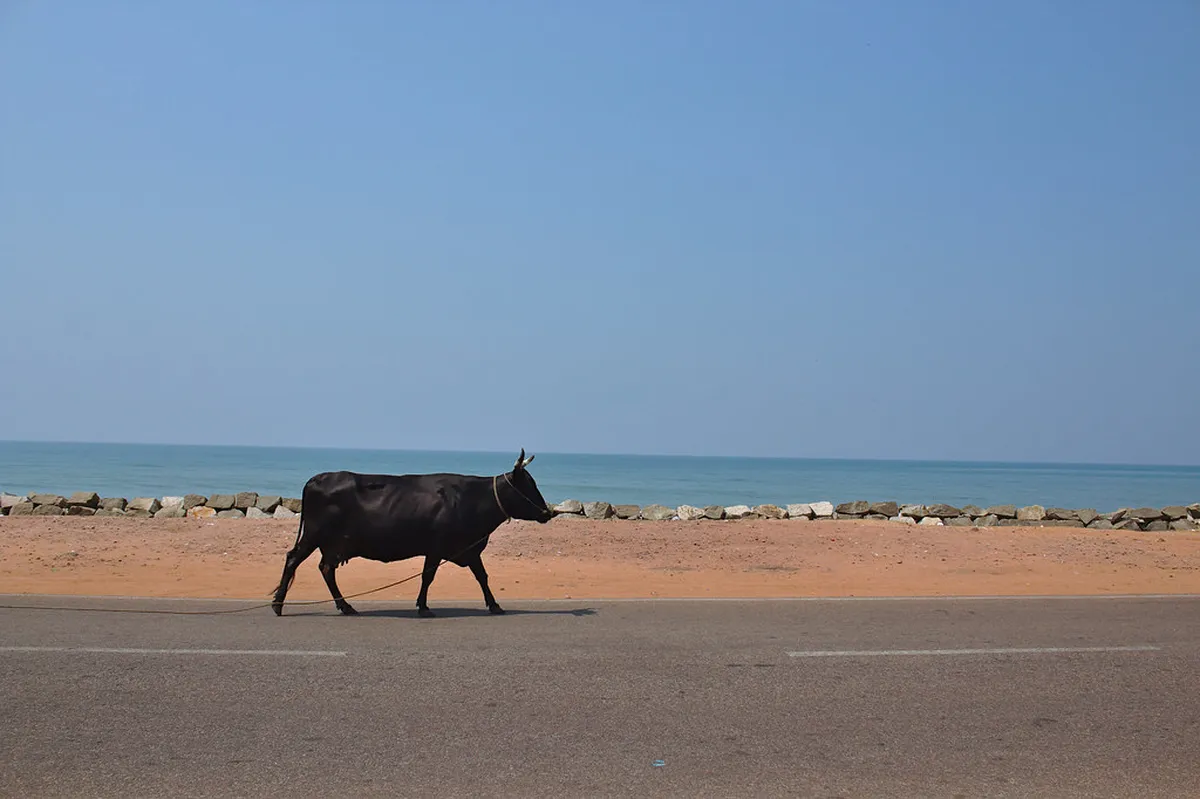 Kappil Beach
