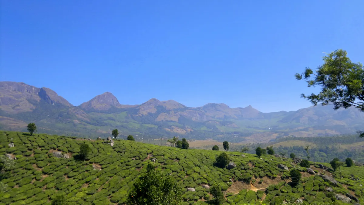 Kolukkumalai Tea Estate