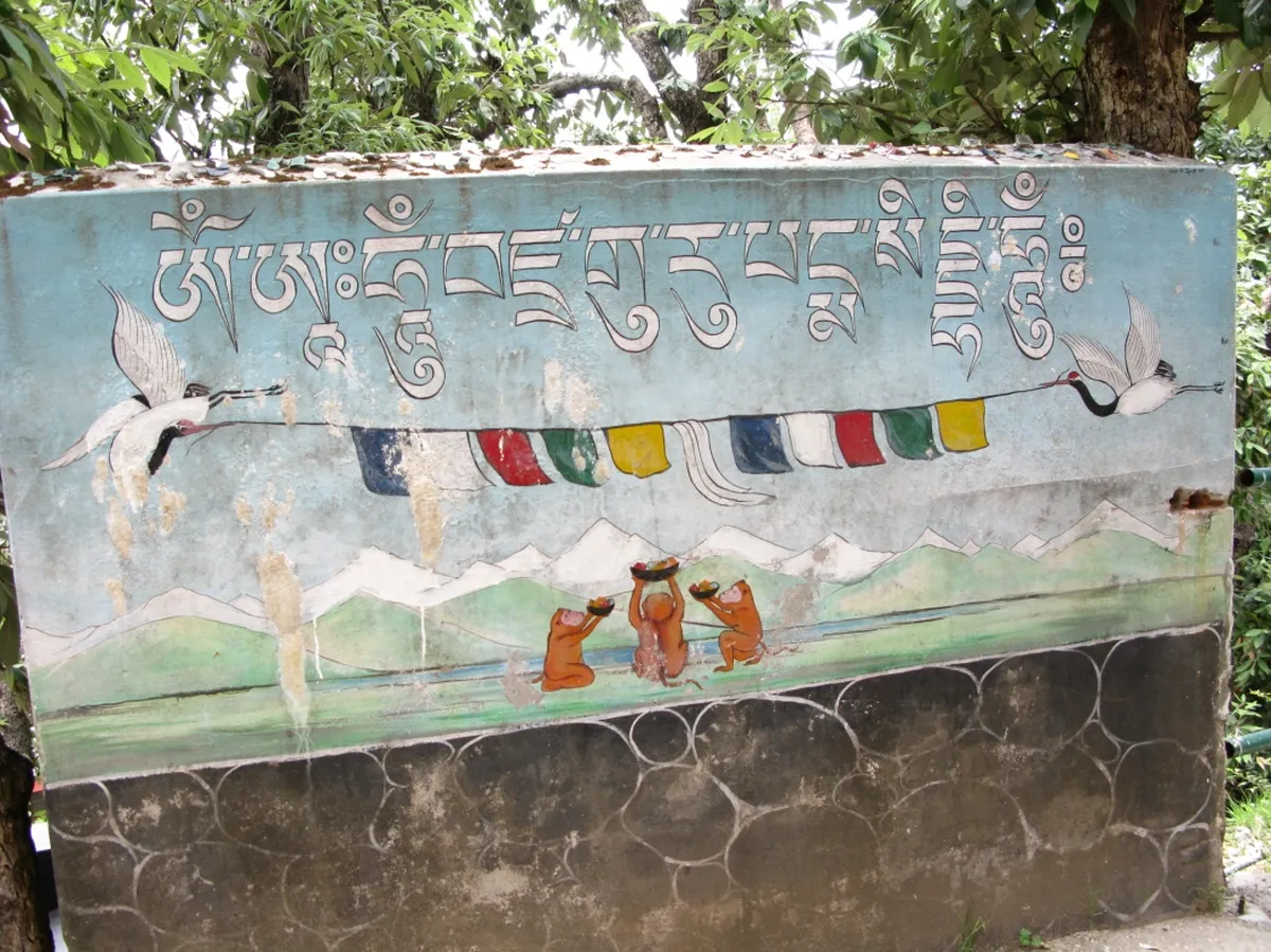 McLeod Ganj Kora Road