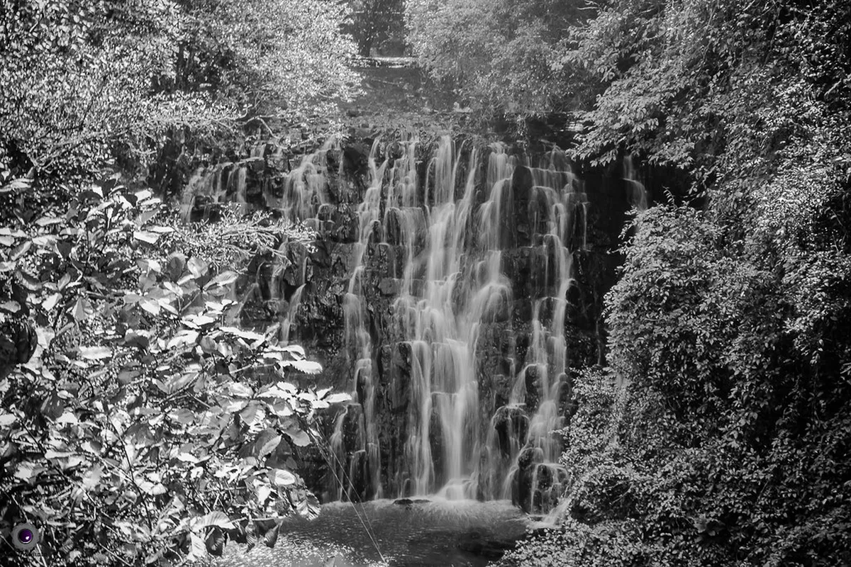 Meghalaya
