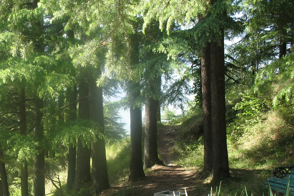 Naggar