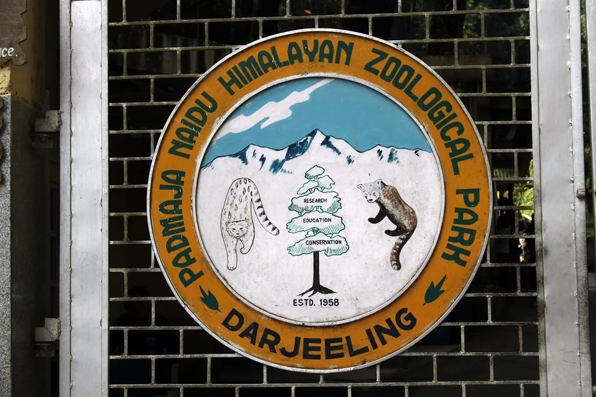 Padmaja Naidu Himalayan Zoological Park