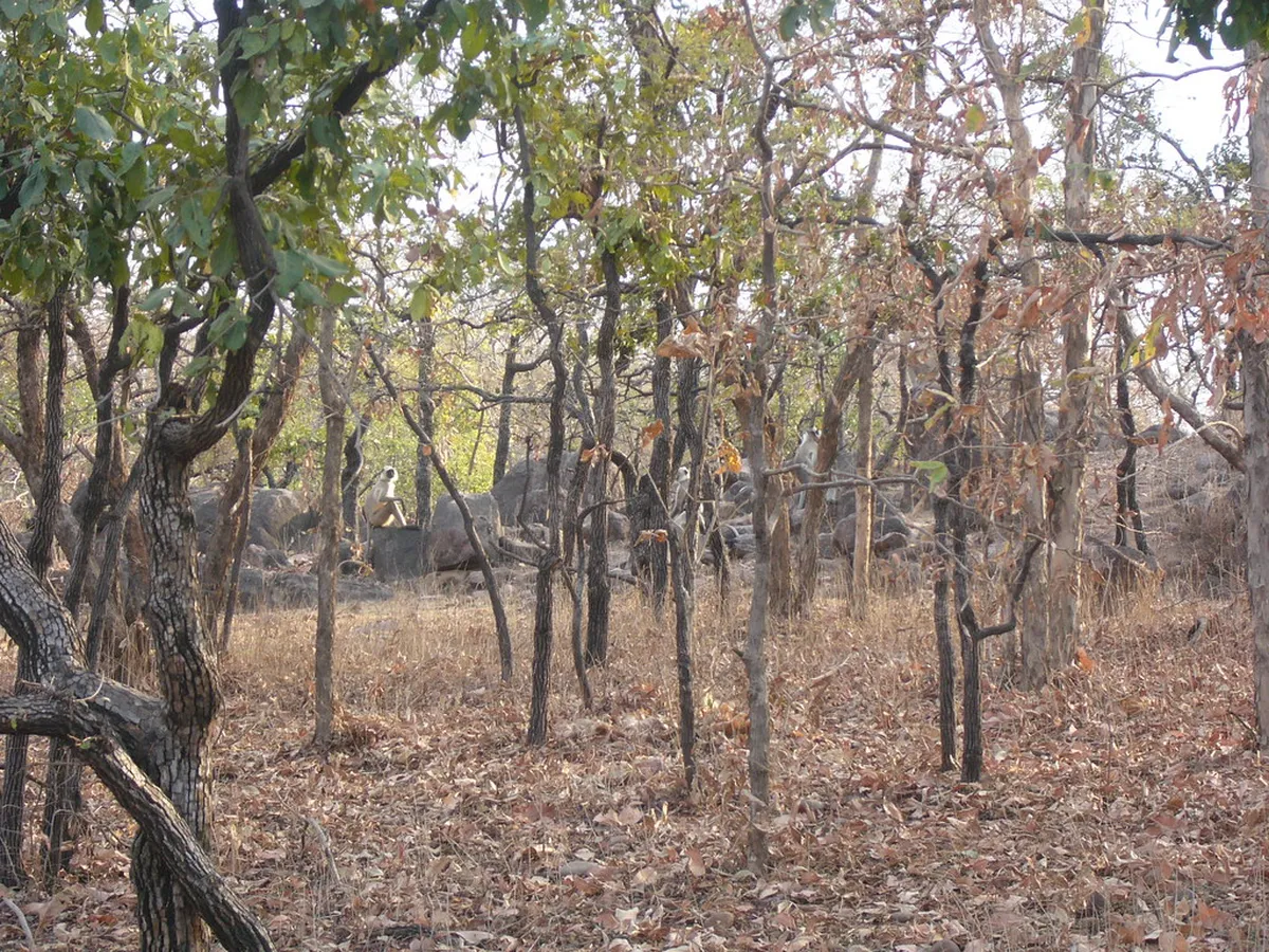 Panna National Park
