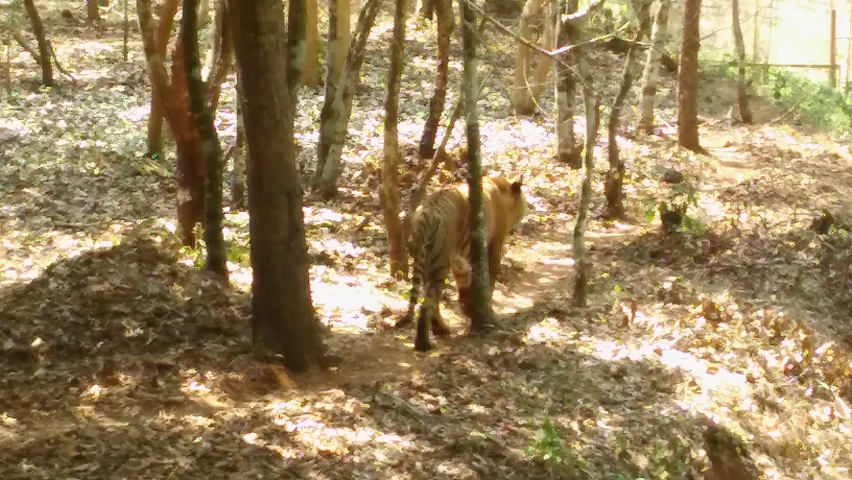 Pilikula Nisargadhama Biological Park