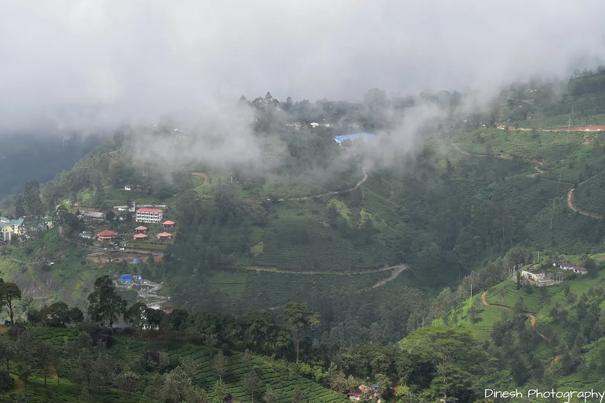 Pothamedu View Point