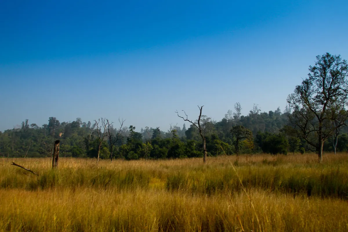 Rajaji National Park