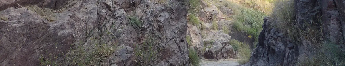 Rao Jodha Desert Rock Park