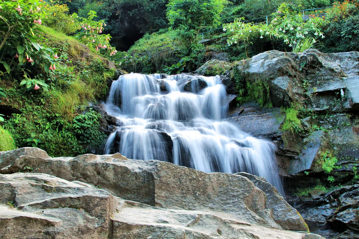 Rock Garden