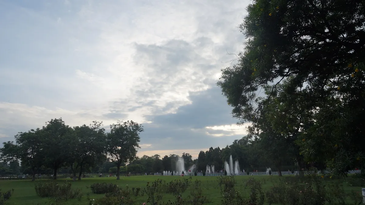 Rose Garden