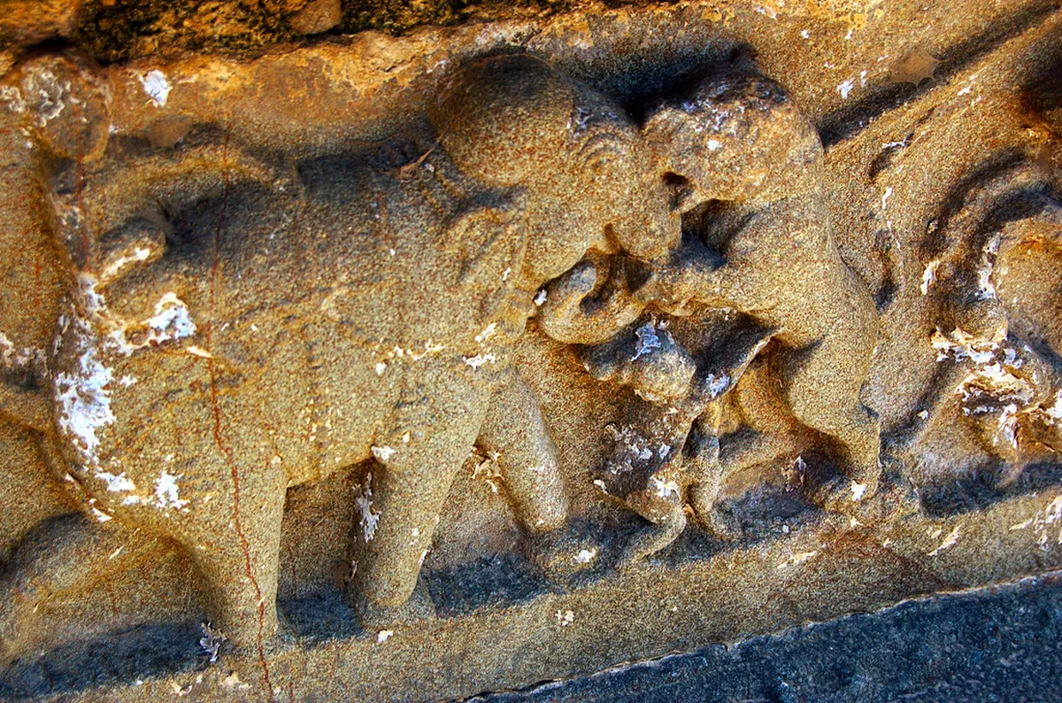 Royal Enclosure