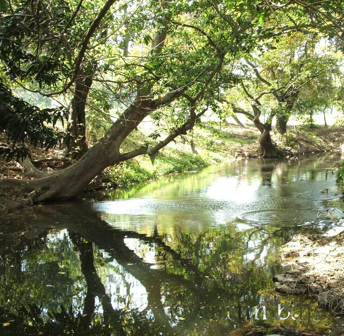 Shanti Kunj