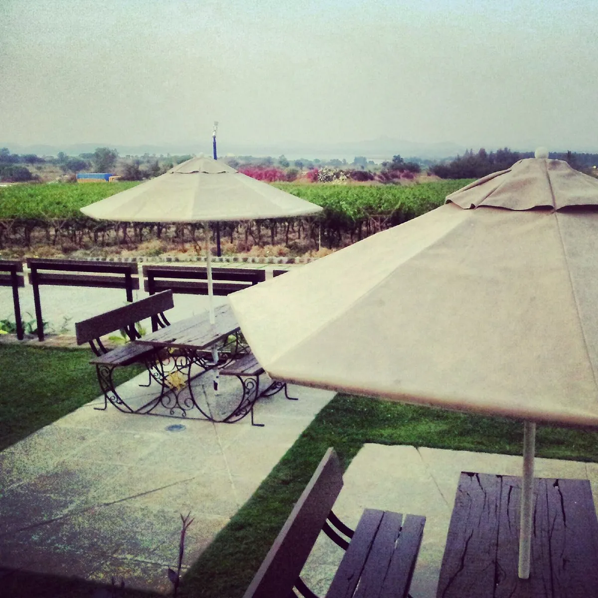 Sula Vineyards