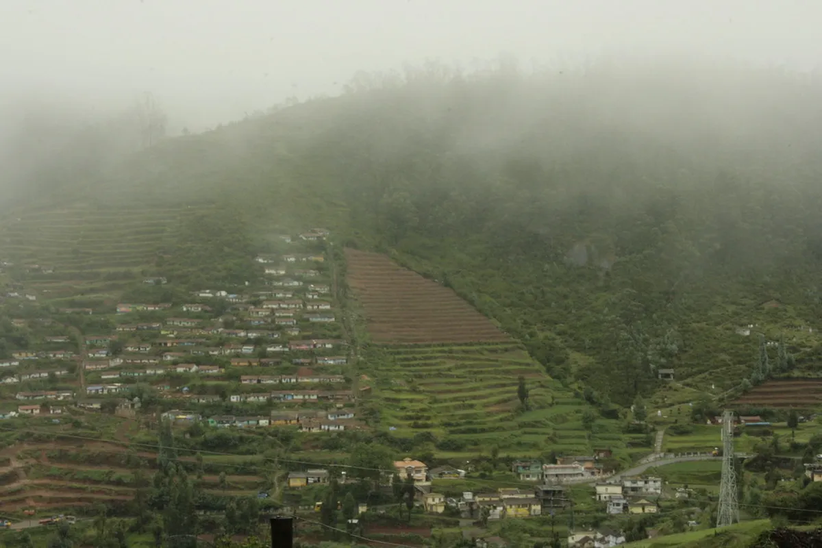 Tea Factory