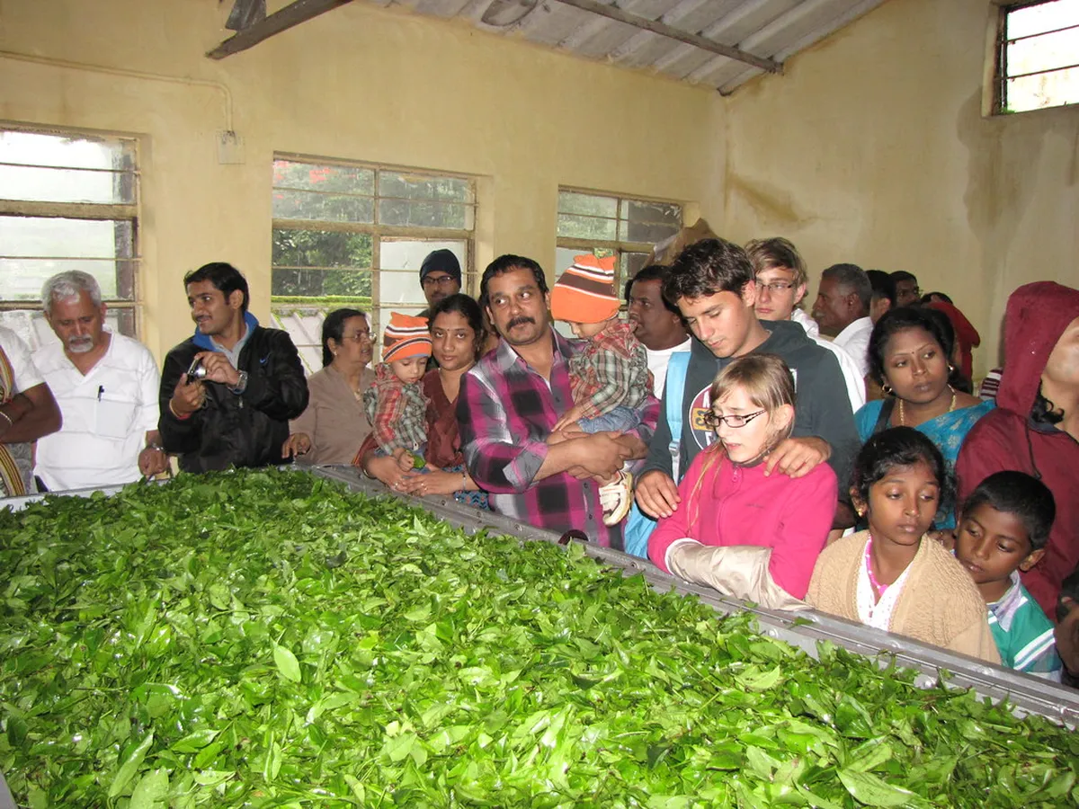 Tea Museum