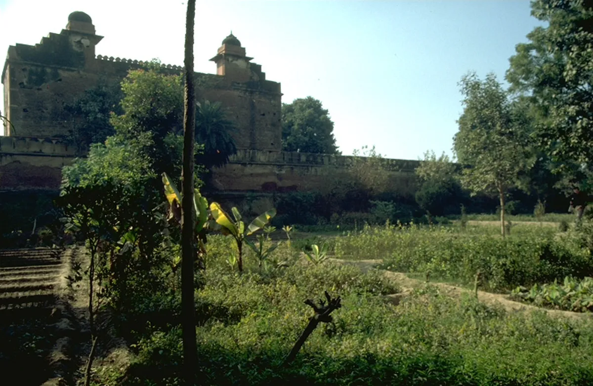 Tomb of Afzal Khan