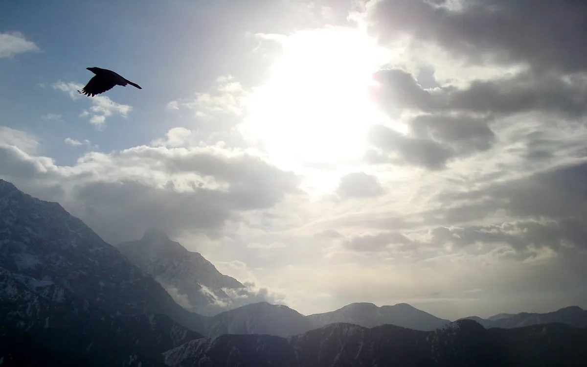 Triund