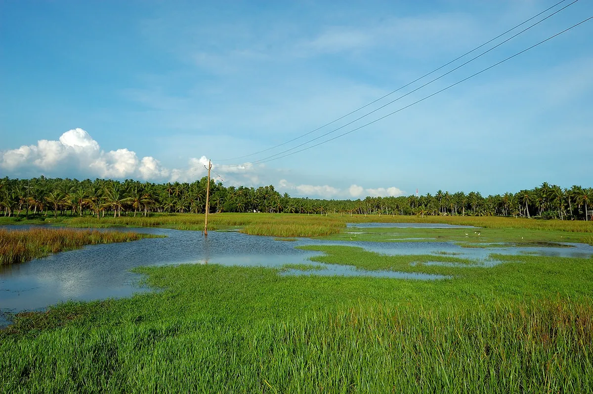 Vellayani Lake